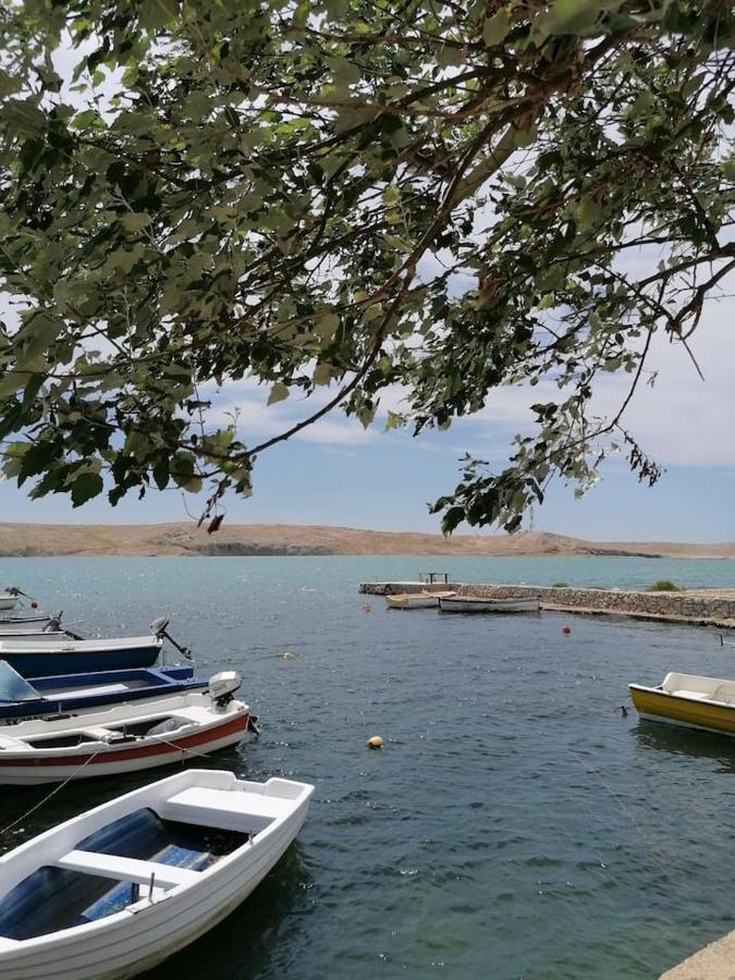 Dinjiška Apartman Lidija מראה חיצוני תמונה