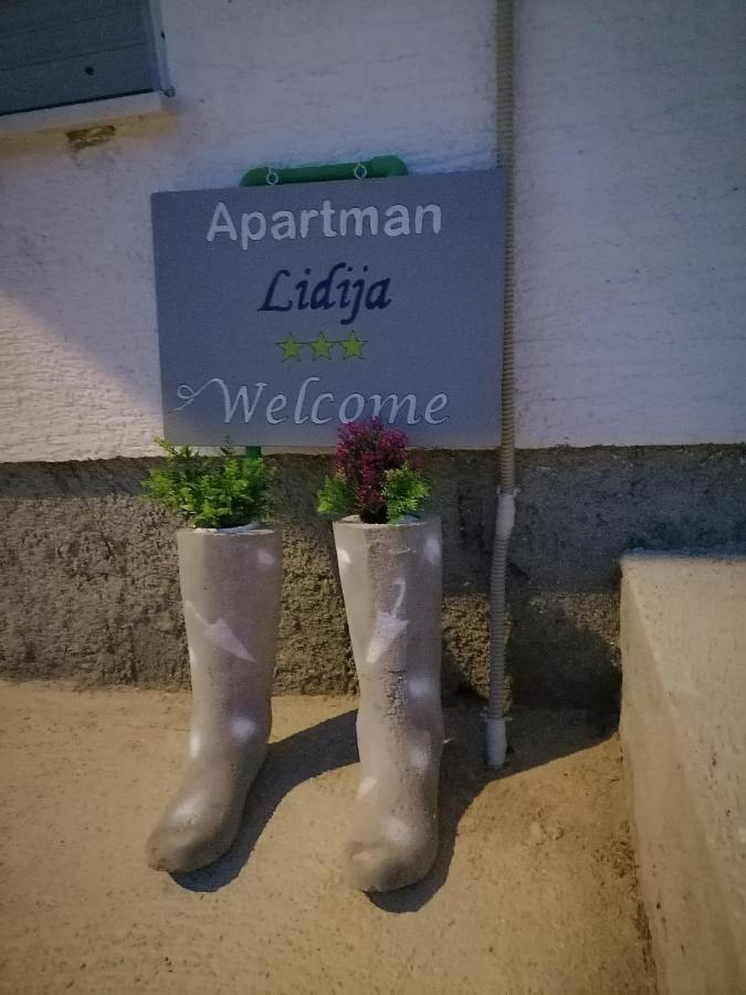 Dinjiška Apartman Lidija מראה חיצוני תמונה